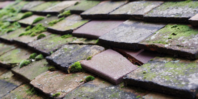 Cwmbach roof repair costs